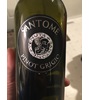 Tenuta Santome Santome Pinot Grigio Pinot Grigio 2015